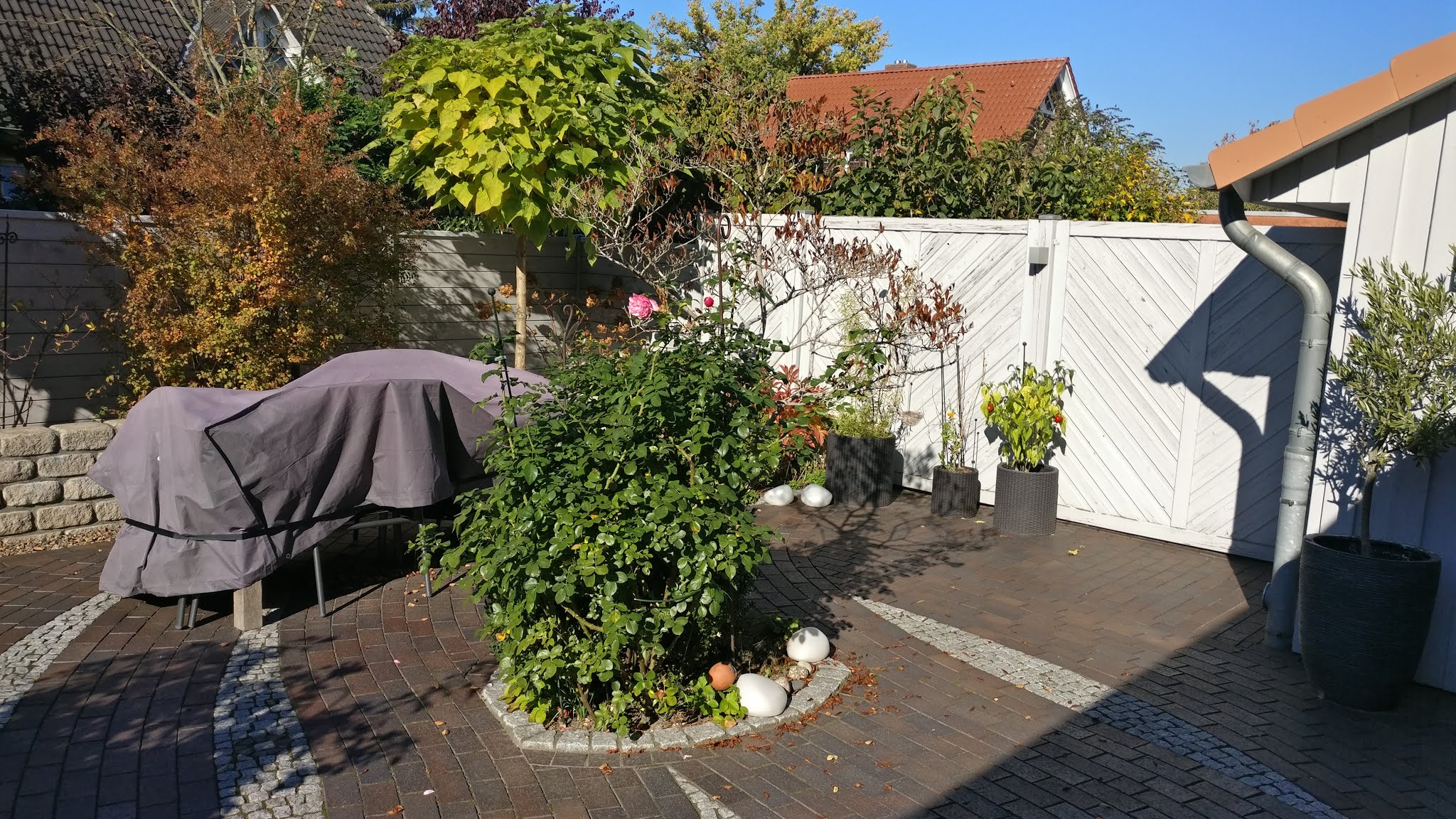 Hausmodernisierung und Gartengestaltung 1
